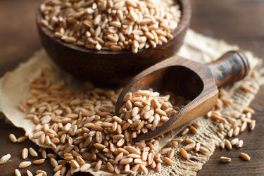 Uncooked whole fiber-rich spelt in a bowl with a wooden spoon