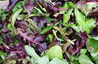 Is It Safe to Eat Slimy Salad Greens?