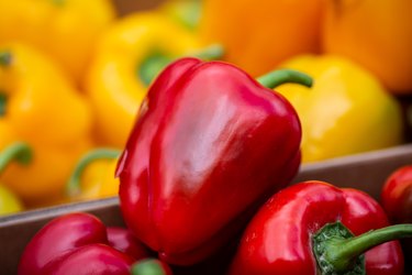 Bell Peppers For Sale