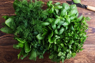 Fresh organic aromatic and culinary herbs