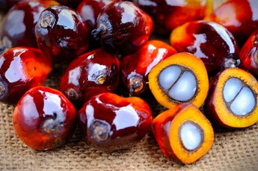 Close up of fresh oil palm fruits, selective focus.