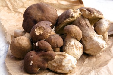 A pile of porcini mushrooms on a brown crumpled paper