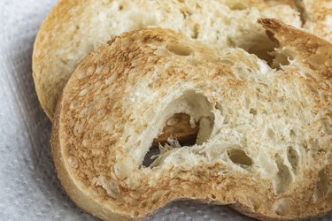 Close up toasted bread slices on plate.