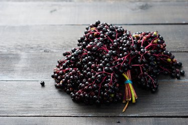 Elderberry