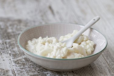 Whole milk kefir fungus