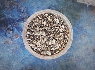 High Angle View Of Sunflower Seeds In Bowl On Table