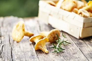 chanterelle and rosemary