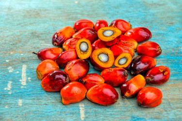 Is Palm Oil One of the Healthy Oils to Consume?