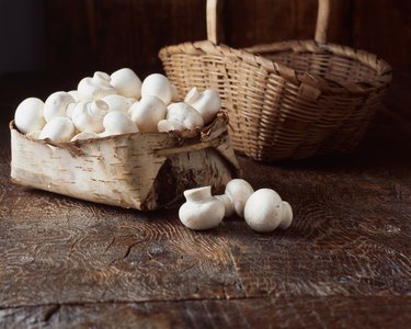 Mushrooms in vintage wooden basket