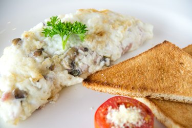 Egg white Omelet