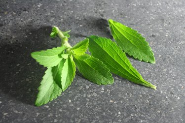 Stevia or Sweet Herb