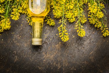 Oil and plant  blossoms on dark rustic wooden background