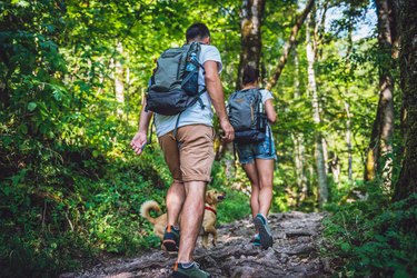 Couple with a dog hiking in forest