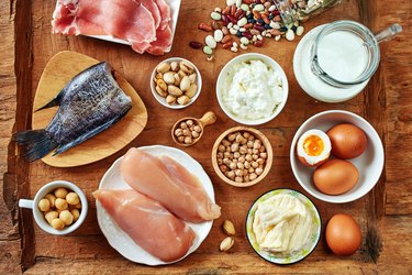 What Is Protein?