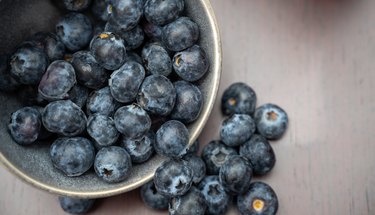 blueberry gastronomic presentation