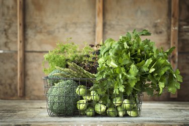 Green vegetables and herbs in wire basket