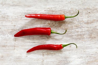 A Perk of Our Evolution: Pleasure in Pain of Chilies - The New