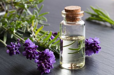 A bottle of lavender essential oil with fresh lavender twigs