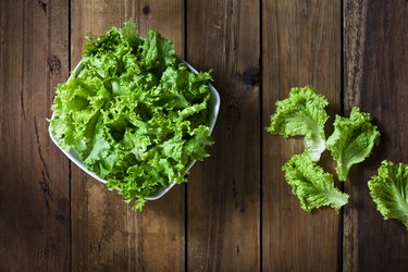 Organic lettuce bowl shot from above on rustic wood table