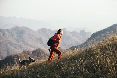 美丽的女旅行者爬山 用山坡背景狗