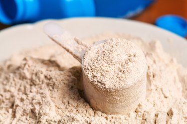 vanilla protein powder