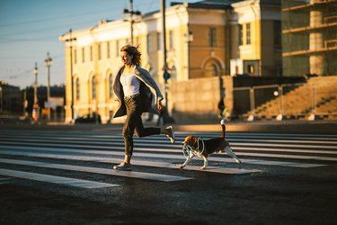 精力充沛的女人与狗在城市人行道上运行