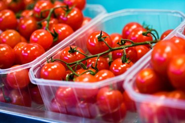 Plastic containers of cherry tomatoes on blue background to show tomato plant allergy rash pictures