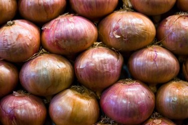 Shallot Substitute (Best Shallot Replacement Options)