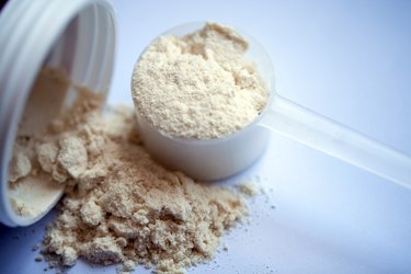 Vanilla protein powder in scoop.