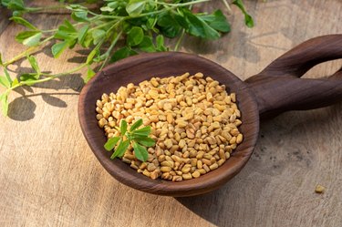 Fenugreek seeds on a spoon with fresh Trigonella foenum-graecum plant