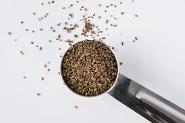 Celery seeds in a measuring spoon.