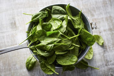 Fresh iron-rich spinach leaves in colander on wooden table