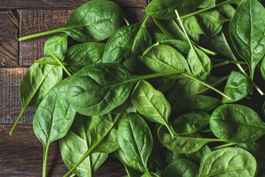 Baby spinach leaf as a background