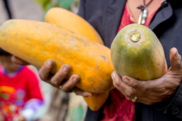 Woman holding papaya,sweet ripe fresh papaya, raw vegan food.