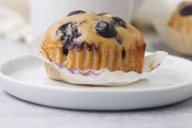 Blueberry Protein Muffins