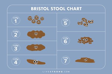 Illustration of Bristol Stool Chart with 7 types of poop