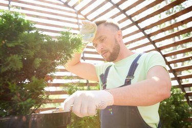 Gardener wearing overalls in sunlight burning calories in hot temperatures
