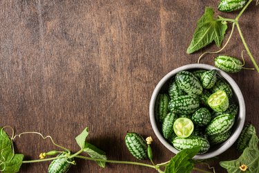 L-citrulline-rich mouse melon freshly harvested in a bowl with plant leaves on wooden background.