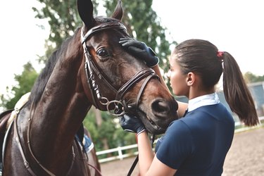 Close up hands of jockey woman hugging a horse. Young girl petting her horse in stable. Equine therapy concept. Love between people and animals.