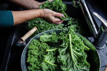 Here's why you should eat cooked kale leaves