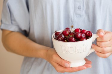 Closeup of a person's hands holding a white mug full of dark red cherries, to represent eating a lot of cherries