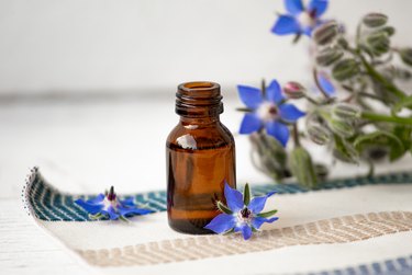 Borage oil, a food high in gamma-linolenic acid,  bottled with fresh blossoms scattered around.