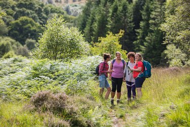 Friends Checking the Hiking Route