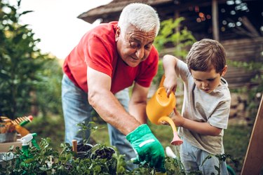 Grandfather gardening with his grandson, as a way to manage stress with aging