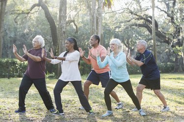 multi-ethnic group of seniors taking a tai chi class in the park