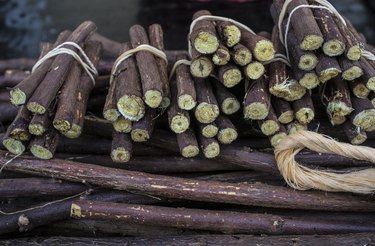 Dried sticks of licorice root, as a natural remedy for heartburn