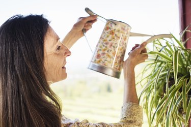 A woman with long brown hair watering a plant, as a way to add moisture to the air without a humidifier