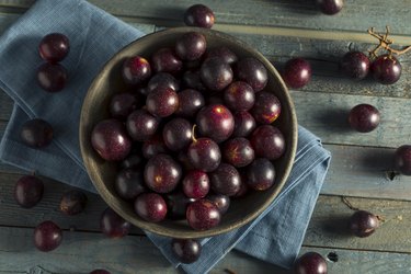 Muscadine Grapes in bowl on counter