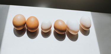 Six eggs, varying in shades of brown and white, lined up and casting a shadow