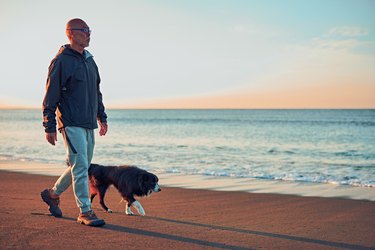 Old dog and senior walking along the beach early in the morning